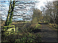 Lanchester Valley Railway Walk in DH7 9TL