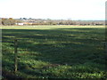 Farmland off the A167 in DL17 0NN