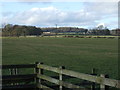 Farmland near Rushyford in DL17 0NL
