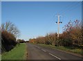 Duxford Road in autumn in CB10 1SX
