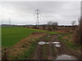 Wood Lane, Carlton, Royston with Electricity Pylons Beyond in S71 3FB