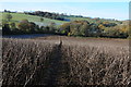 Bridleway to the west of Bredenbury in HR7 4TE