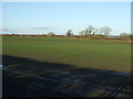 Farmland off the A177 near Bowburn in DH6 5NE
