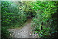 Bridleway, Wingate Wood in ME2 1FW
