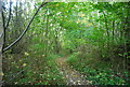 Bridleway, May's Wood in ME2 1FW
