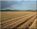 Looking west over Autumn stubble in DG2 0LE