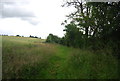 Footpath along the field edge in GU8 4EE