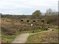 Mouldon Hill Country Park, Swindon in SN5 4FS
