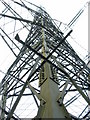 Electricity Pylon in IP13 6RP