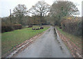 Unnamed lane north of Canterton Manor Farm in SO43 7HE