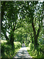The lane to Llwyn-y-groes, Ceredigion in SA48 8NW