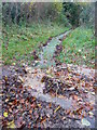 Footpath on Wormcliffe Lane after heavy rain in SN13 8BB