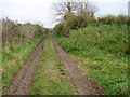 Track to Broadmayne in DT2 8EP