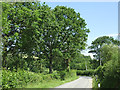 The lane into Llwyn-y-groes, Ceredigion in SA48 8NW