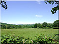 Farmland south-west of Llwyn-y-groes, Ceredigion in SA48 8NW
