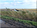 The Cambridgeshire Fens - Water, reeds and mud in PE7 3PR