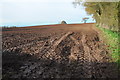 Ploughed field near Marston Stannett in HR6 0NJ