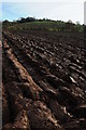 Ploughed field near Marston Firs in HR6 0NL
