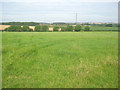 Farmland south of Caunton in NG23 6BQ