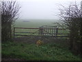 Field entrance, Manor House Farm in DL6 2HJ
