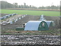 Pigs And Pig Houses in IP28 6DE