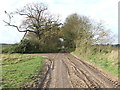 Track And Footpath in IP28 6DE