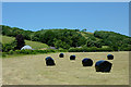 Hay field south-west of Bwlch-Llan, Ceredigion in SA48 8QF