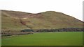 Haugh beneath Percy Law in TD5 8PU