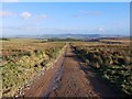 Track south-west of Middleton Dean in Ilderton