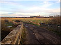 Railway bridge and lane at South Grange, Shincliffe in DH1 2PR