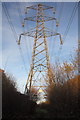 Electricity Pylon in Green Lane Wood in BA14 6GU