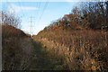 Clearing for Pylons Through Green Lane Wood in BA14 6GU