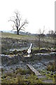 Footbridge over the brook west of Bagshaw in Chapel East Ward