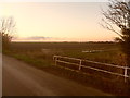 Evening scenery, Black Hole Drove, Northgate in PE11 3QG