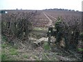Stile & Footpath at Clifton Pastures in Clifton Reynes