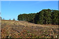 View across stubble field from Benhams Lane in GU33 6ET