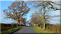 Road to Bredon's Norton in GL20 7ER