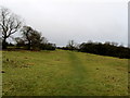Bridleway ascending towards Catton Wood in LS29 7LZ