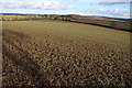 Arable land viewed from Sutton Walls Fort in HR1 3BN
