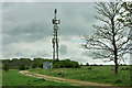 Telecommunications mast, Ladies Mile in BN1 8RF