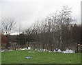 Windblown litter, Oakbank Park in EH53 0TJ