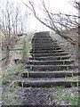 Steps, Oakbank Bing in EH53 0RF
