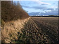 Field edge near lane to Dudgrove Farm in GL7 3FH