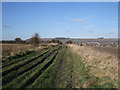 The Wessex Ridgeway looking towards the Devizes White Horse in SN10 3LW
