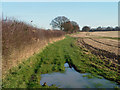 Soggy footpath to East Hanningfield in CM2 7TB