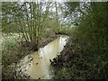 Tributary of Sandon Brook in CM3 4AN