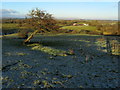Frozen Pasture above Ings Beck in BB7 4DD