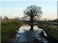 Big puddle on Bumfords Lane in CM3 2NR