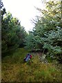 Y Foel in SY17 5AZ
