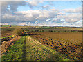 Ploughed land as seen from Roach Valley Way in SS4 3PF